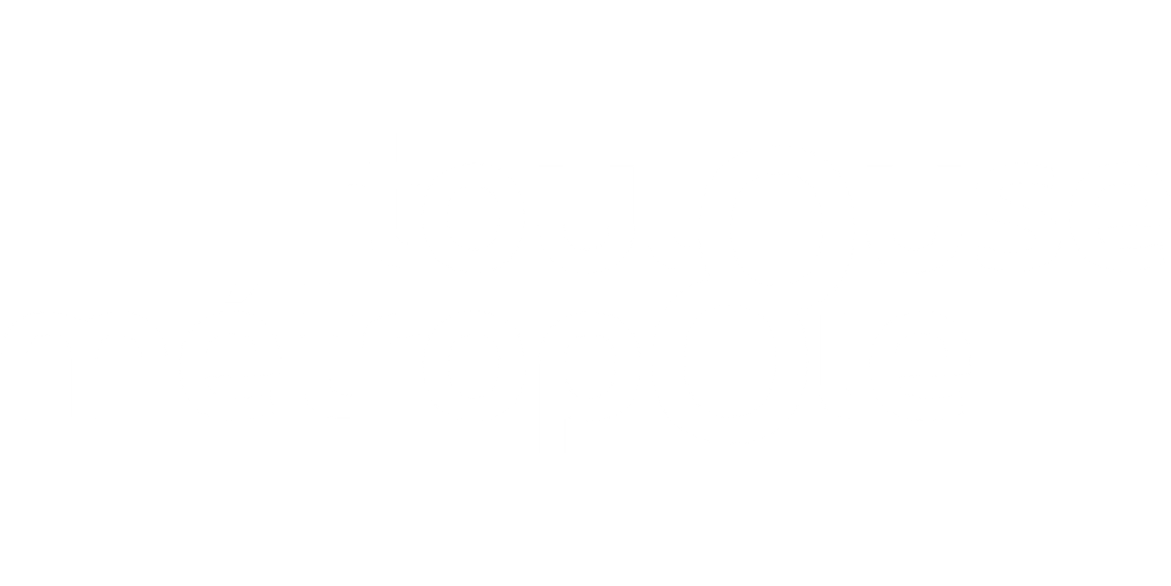 toulouse métropole