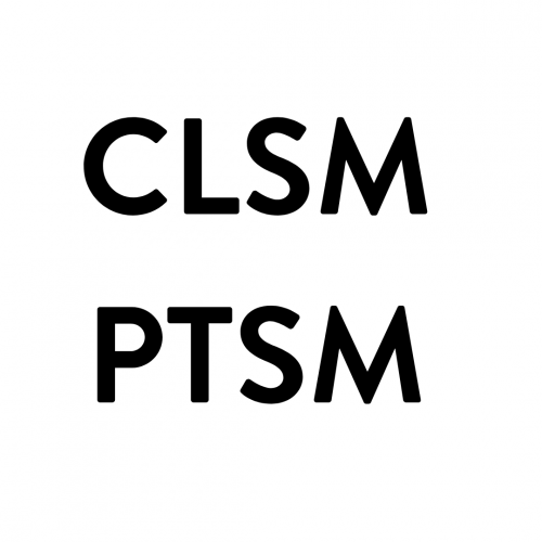 CLSM